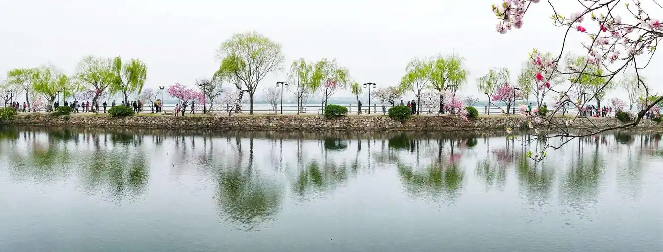 无锡的春之蠡园桃花