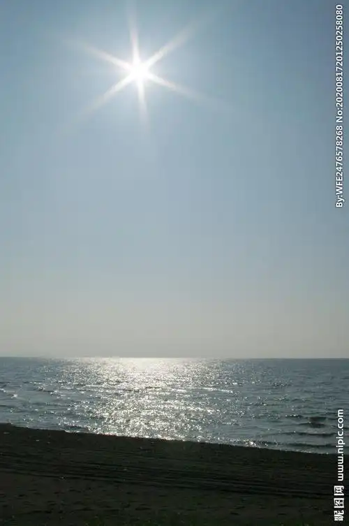 中午的太阳图片