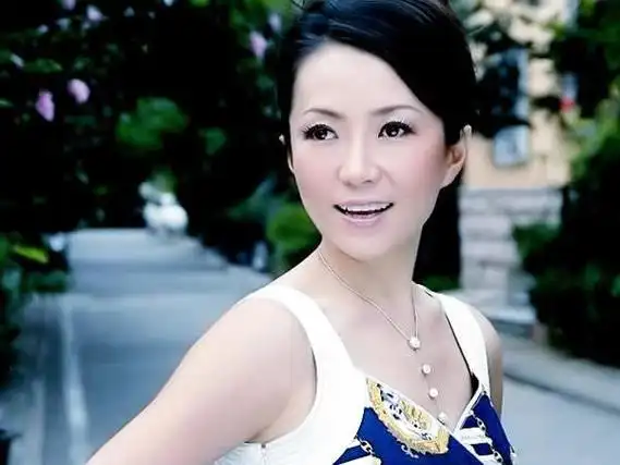 年少成名的歌坛一姐程琳