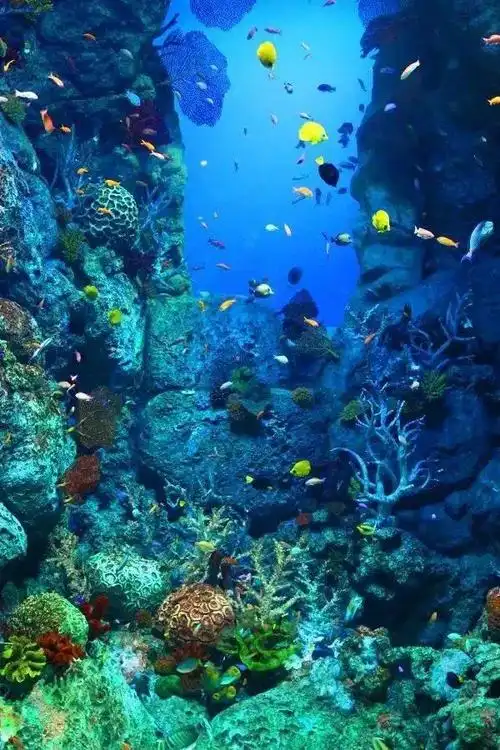 (图片漂亮唯美卡通儿童画彩泥彩色简大全高清高清图片图片来自漂亮