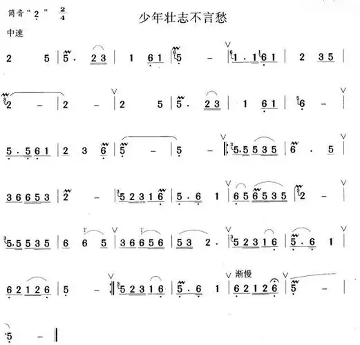 笛子谱子_笛子乐谱大全并提供新手入门下载_民族乐器网