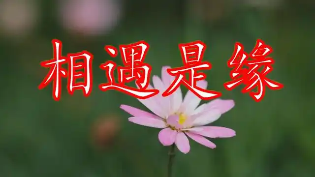 一曲《相遇是缘》相守是份,珍惜眼前,因为来生不会再见!