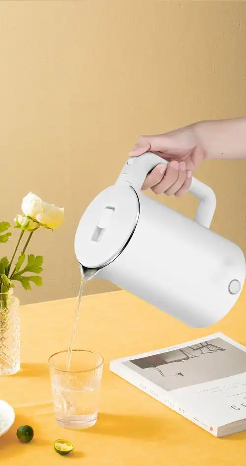 旦榄电热烧水壶不锈钢家用快烧壶烧开开水壶烧水器电烧快壶保温煮客厅