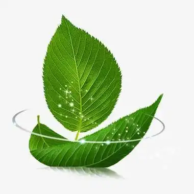 3d微信头像叶子 微信头像图片大全 -【爱个性】