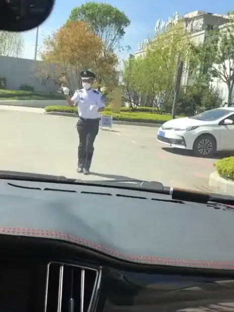 辽宁一售楼处保安指挥倒车,专业程度让人咋舌,网友:每平加2000