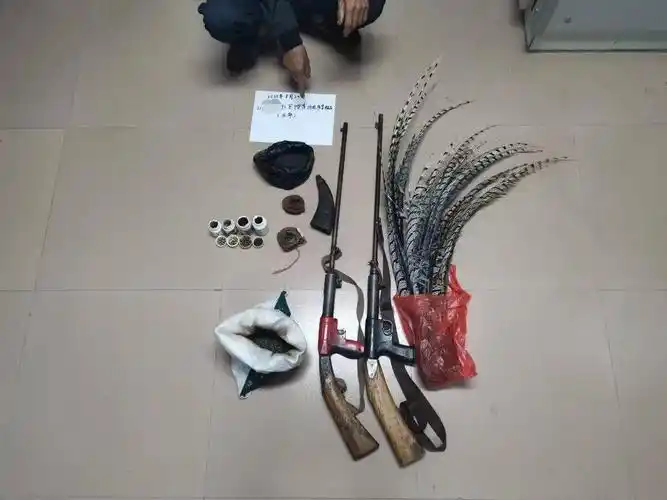 宾川一对父子制枪捕山鸡解馋结果
