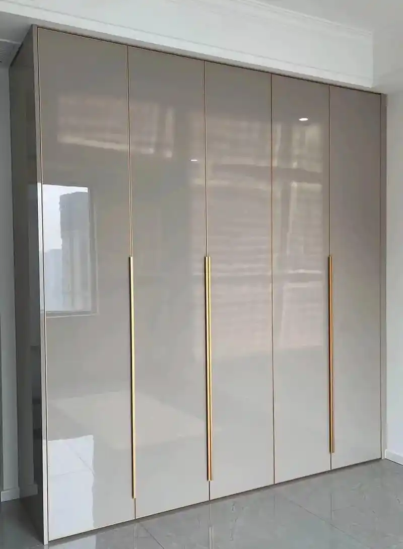 湛江衣柜厂   #平开门衣柜极简轻奢风 高光柜门展示,有人 - 抖音