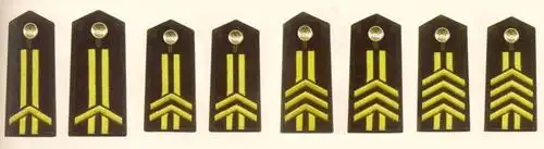 解放军陆军军士长肩章(1993～1999)