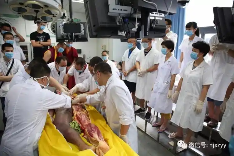 医学——2019年1月12日全国第十一届深圳新鲜尸体解剖班开班通知_操作