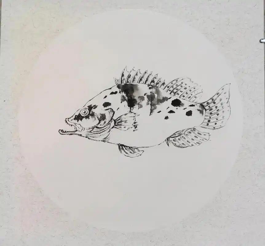 圆形构图鳜鱼#原创作品 #一起学画画 #感受国画的意境之美 - 抖音