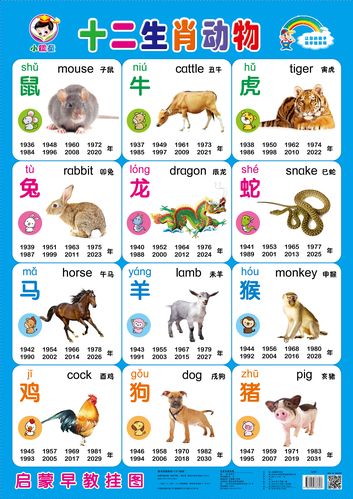 宝宝挂图幼儿儿童早教1-3岁墙贴认知婴儿启蒙玩具挂图