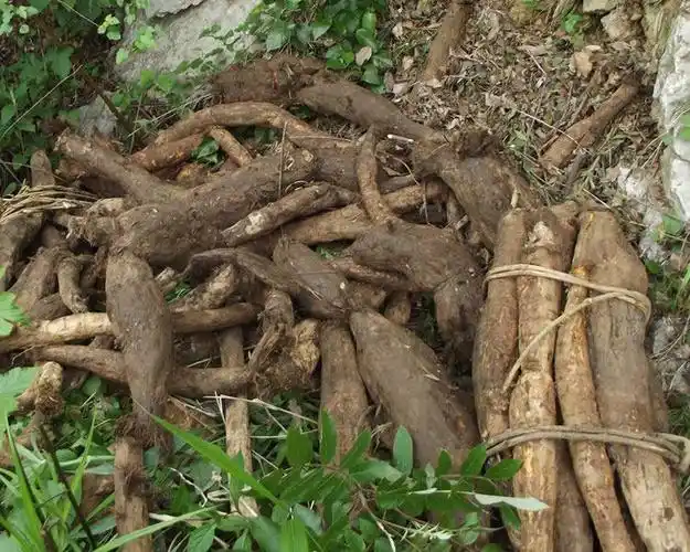 野生葛根片张家界柴葛根丁农家特级老葛根块茶500g野生葛根片张家界柴