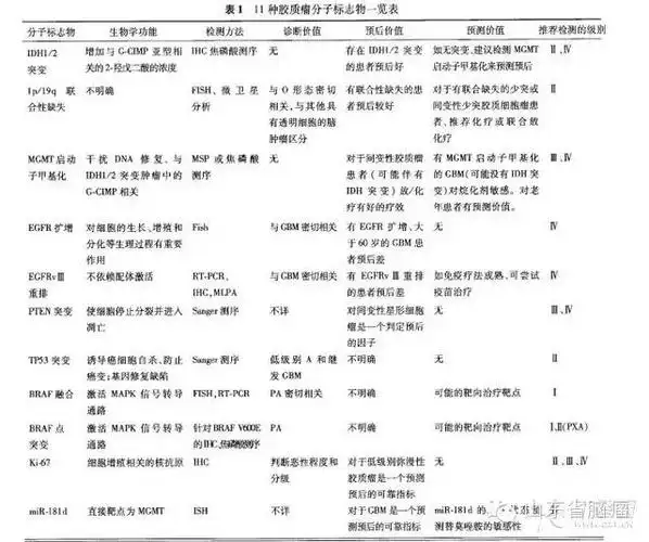 手术推荐最大程度安全切除肿瘤;放疗推荐分次外照射;化疗推荐替莫唑胺