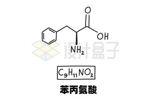 苯丙氨酸c9h11no2化学方程式和分子结构式手绘风格氨基酸8557223矢量
