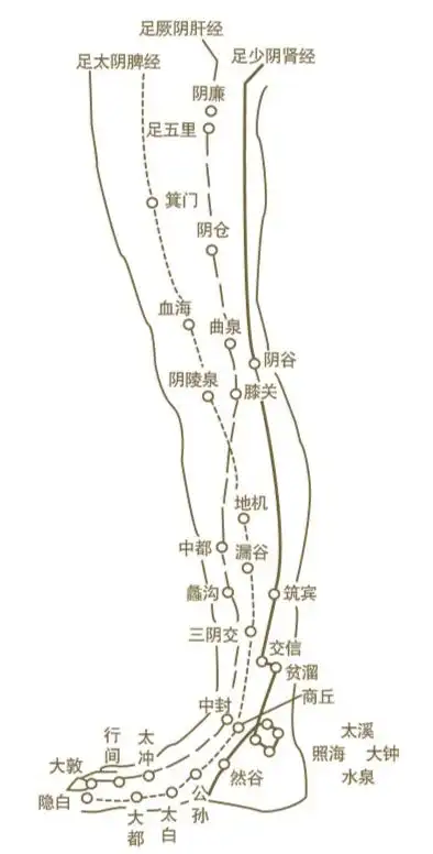 拍小腿可祛寒护肝强脾补肾