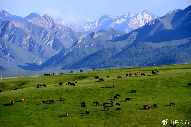 祁连山下山丹马场草原景色怡人