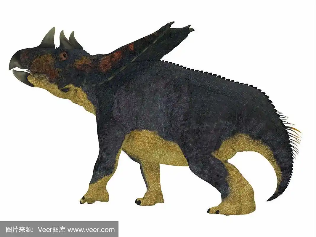 恐龙,尾巴,白垩系,角龙类,史前艺术