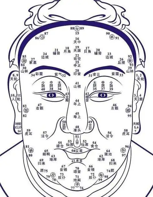 中国传统面相术常识面相算命图解大全看面相大全图解
