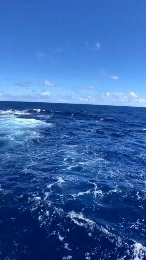 波涛汹涌的大海真漂亮