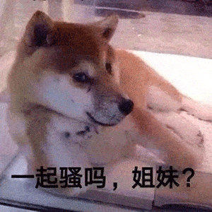 沙雕斗图表情包有本事你打我嘛