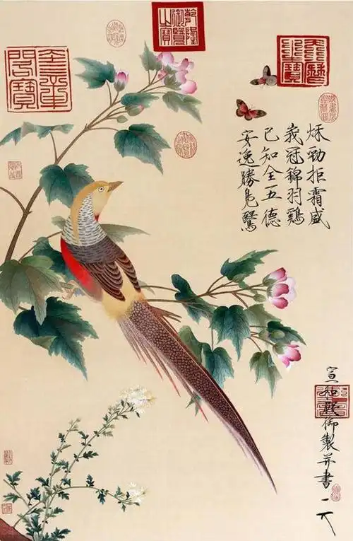 赏析宋徽宗《芙蓉锦鸡图》