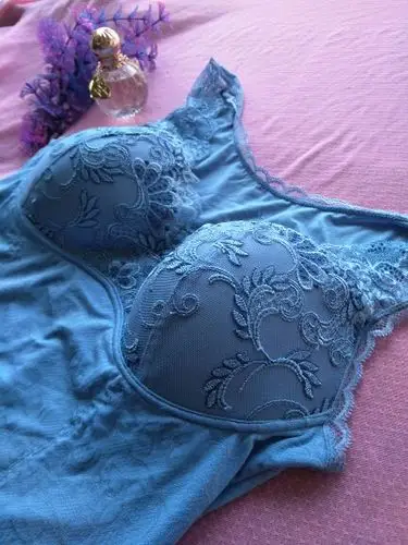 秋季款韩国一线高档提花内衣无钢圈带文胸防止增生束身上衣