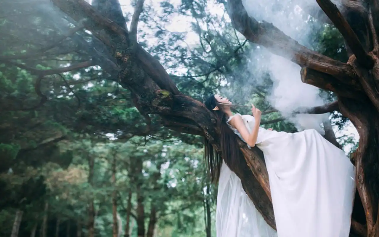 长发美女森林精灵唯美写真图片桌面壁纸