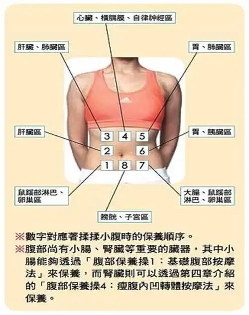 揉揉小腹保养心肝肺胃8大器官!启动身体自愈力
