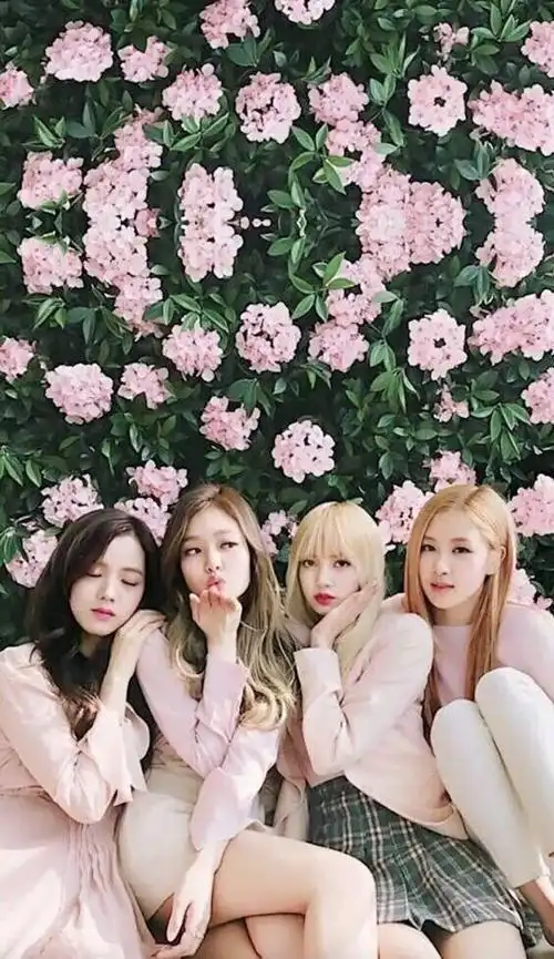 来康康人气女团粉墨壁纸叭