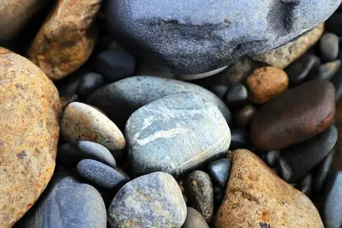 我是一棵小小的石头