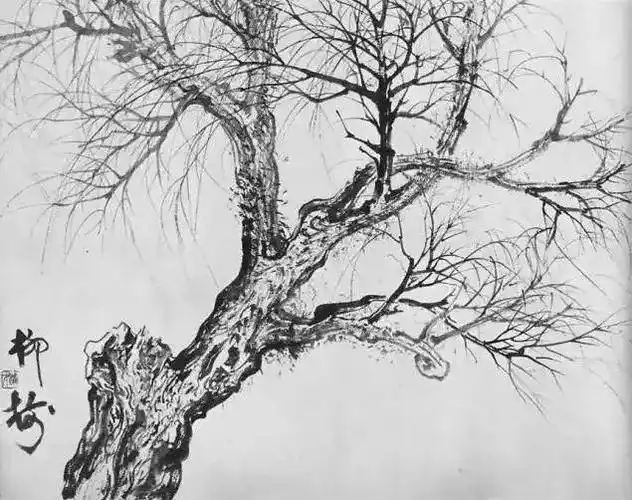 纹理有一定规律,淡笔多而不乱,使其层次更清楚,浓笔要分明利落,石之