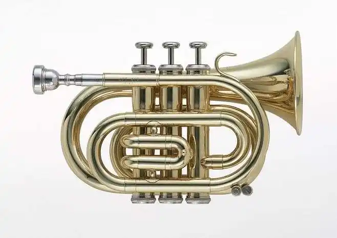 外国男性图片吹小号的女人小号播放器号手演奏音乐爵士乐乐器黄铜乐队