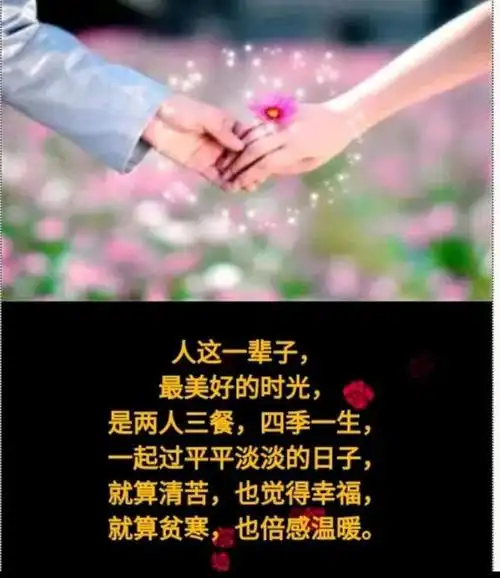 携子之手,相伴一生.