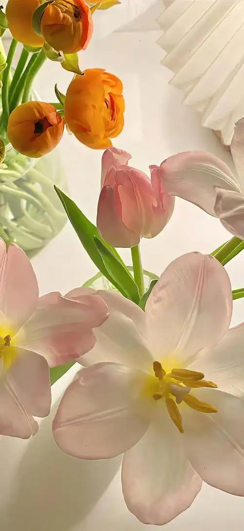 700_1517竖版 竖屏