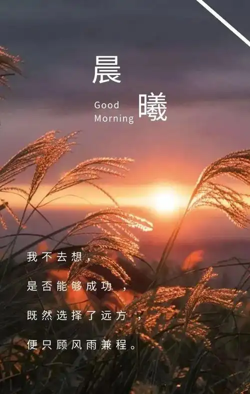 朋友圈最激励人心的阳光句子,句句充满正能量