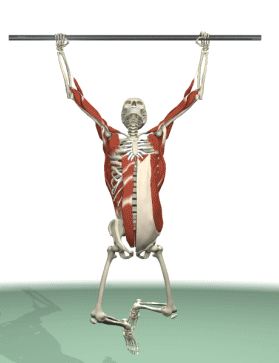 279_363竖版 竖屏gif 动态图 动图