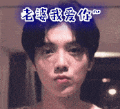 老婆我爱你鹿晗亲亲gif动图_动态图_表情包下载_soogif