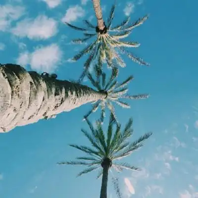 微信头像 高清风景图片