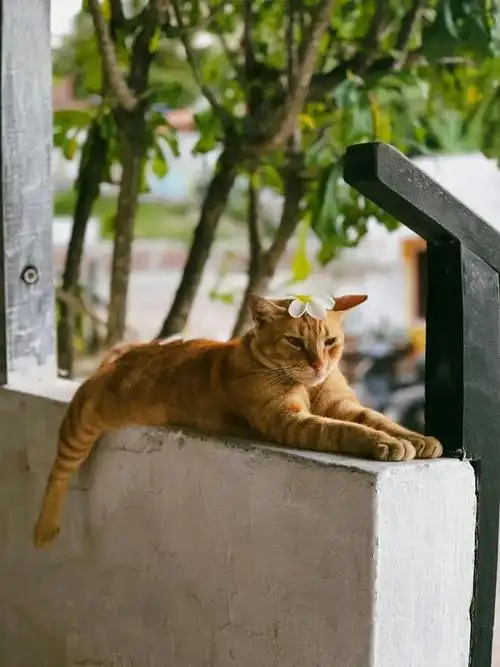 周末来了散散班味吧双周好玩