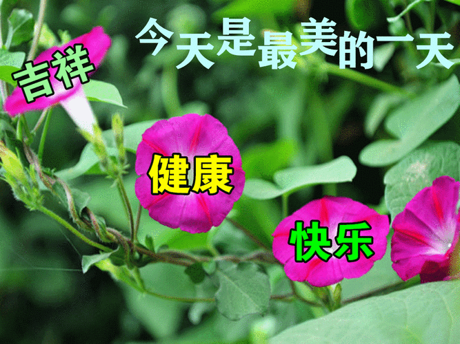 2021年10月27日星期三上午好动态表情图片大全集祝大家健康快乐表情