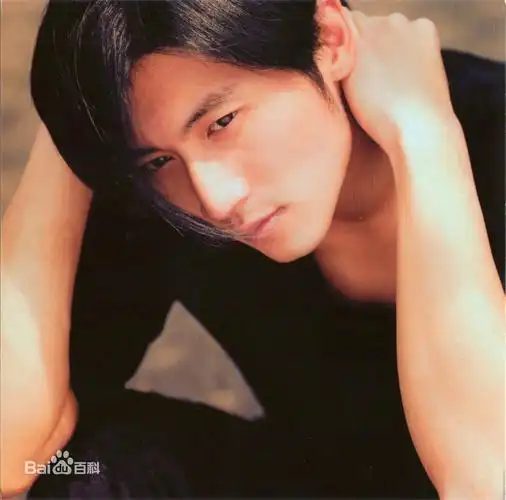 求谢霆锋照片(不要有王菲照片上)