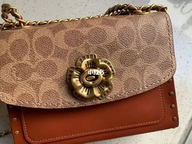 蔻驰山茶花parker18真假鉴定