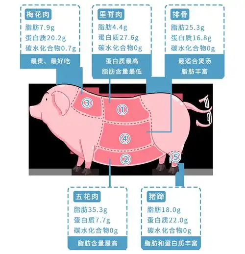 每次买猪肉都犯愁:到底买哪块,才比较营养呢?终于搞明白了