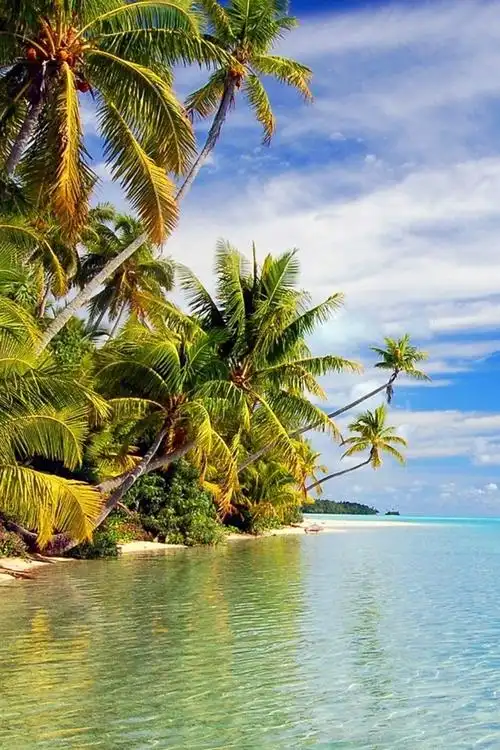 热带海滩 640x1136 iphone 5/5s/5c/se 壁纸,图片,背景,照片