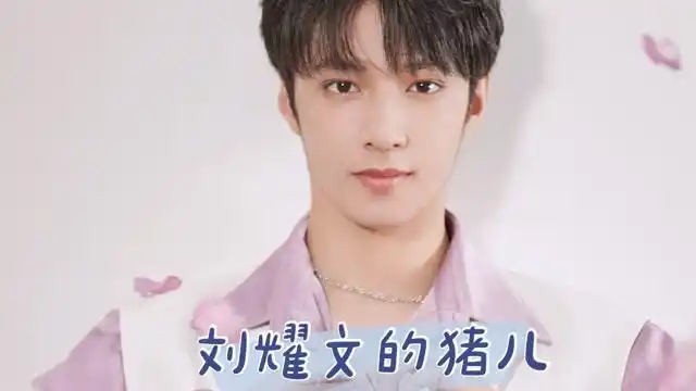 就是说完全没想到,刘耀文,心心念念的是只猪儿