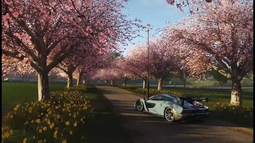 【地平线4】一起看樱花