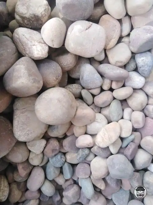 鹅卵石石头大块天然鹅卵石大号河卵石户外铺路石头鱼缸水族庭院景观