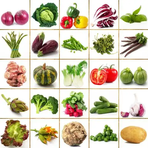 各种蔬菜表图片