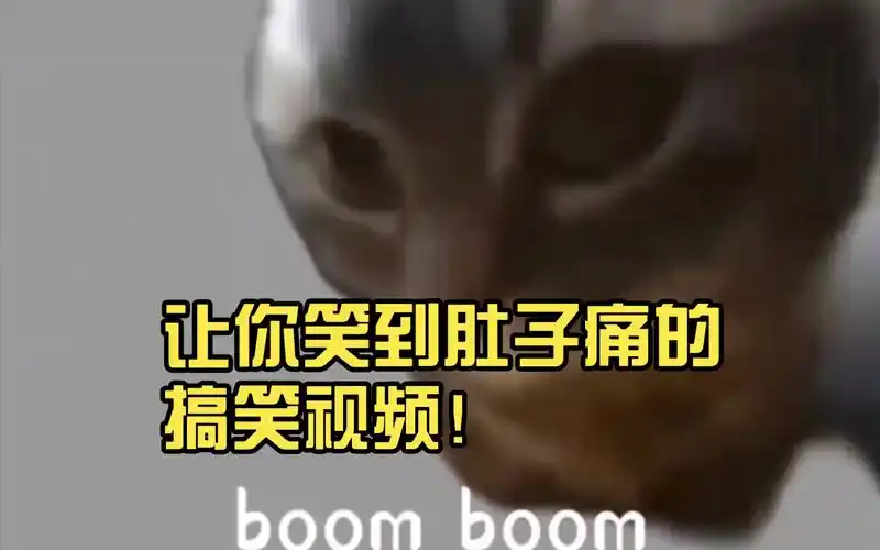 鬼畜大乱斗:让你笑到肚子痛的搞笑视频!