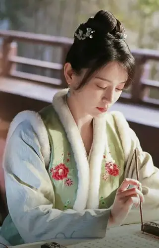 《知否知否应是绿肥红瘦》【盛墨兰】施诗